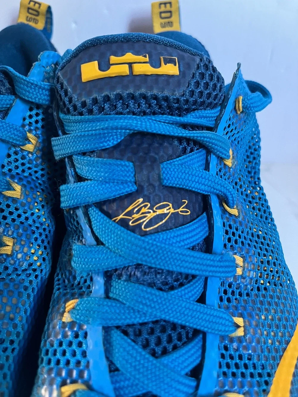 Nike LeBron 12 Low in the 